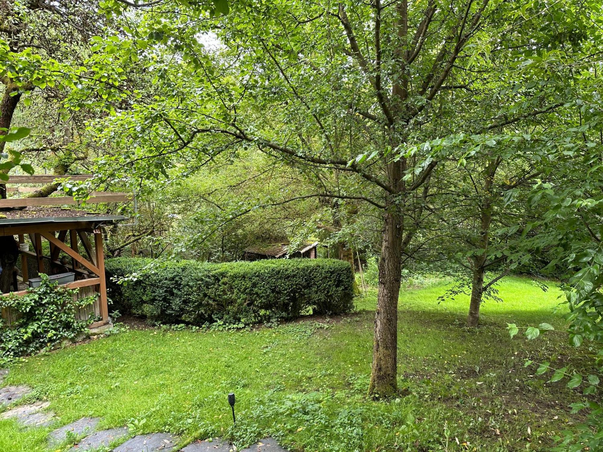 Gartenhaus - Dietzhaeuschen Suhl Exteriör bild